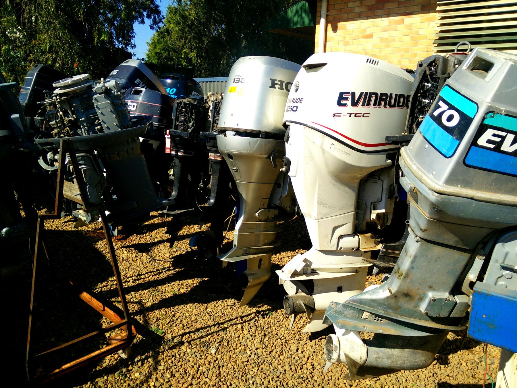 A row of second-hand outboards for sale in the yard, including Honda and Evinrude motors